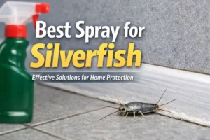 Best Spray for Silverfish: Top Residual & Natural Options Best Spray for Silverfish