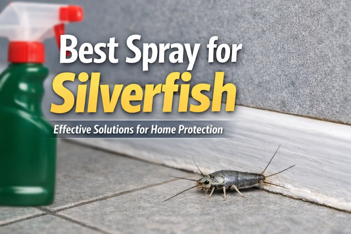 Best Spray for Silverfish