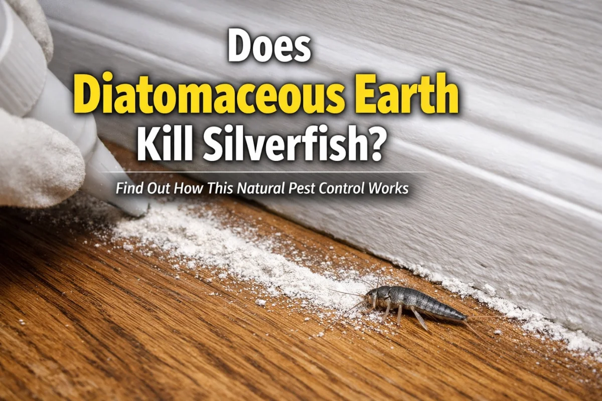 Does Diatomaceous Earth Kill Silverfish