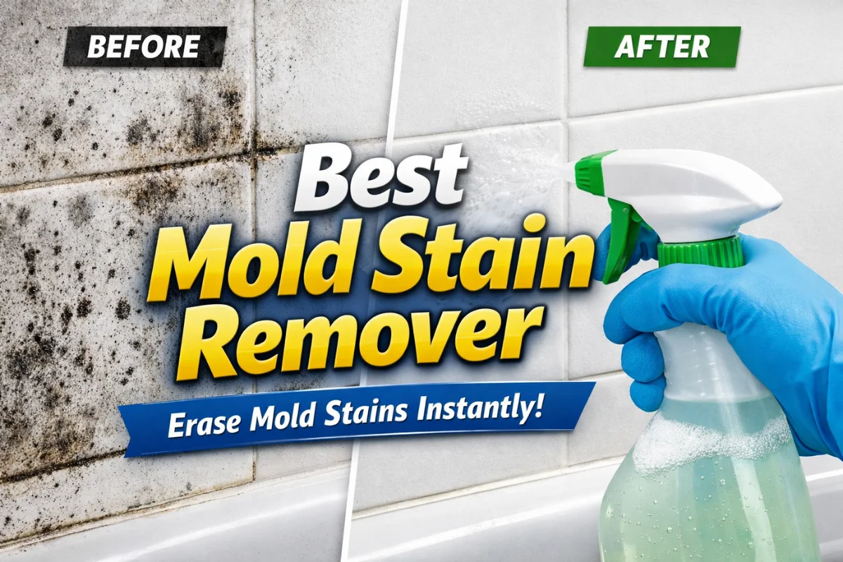 Best Mold Stain Remover
