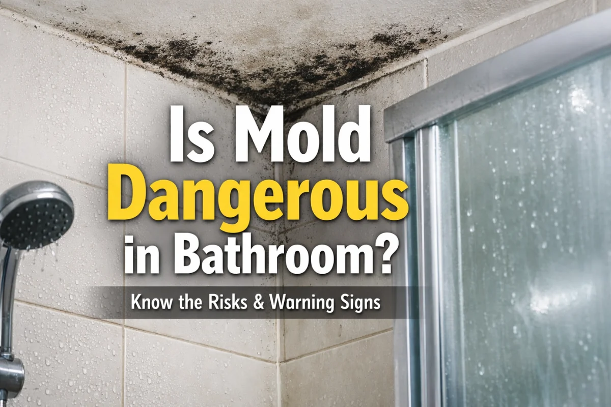 Is Mold Dangerous in Bathroom?